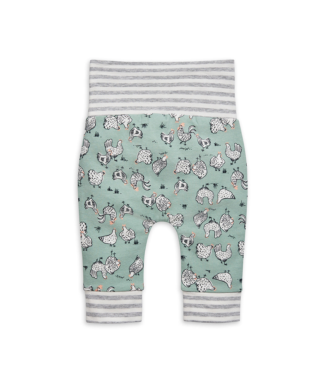 Leggings Olive Chicken Run Cotton