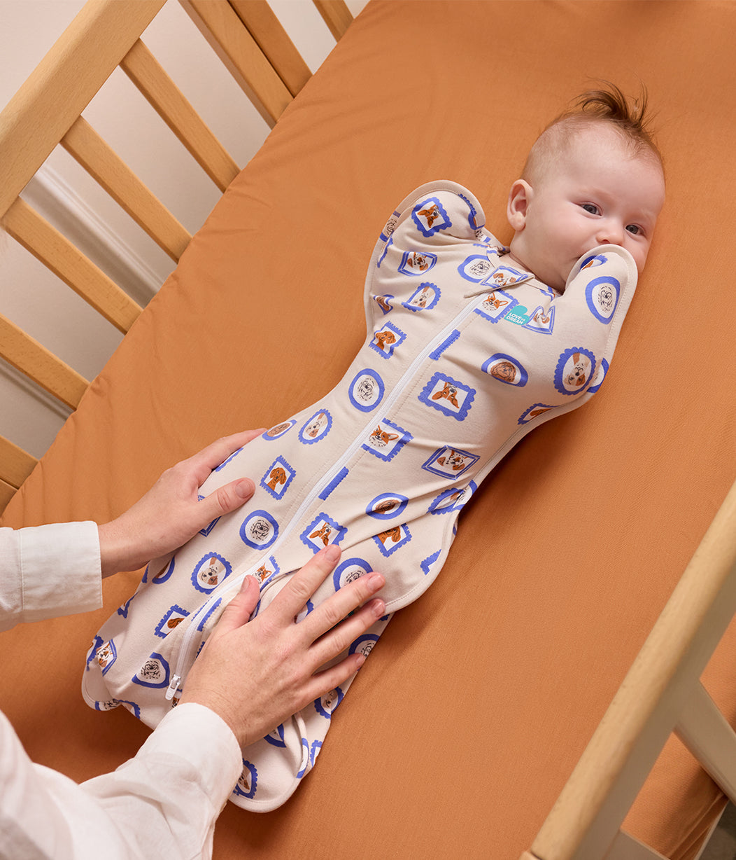 Swaddle Up™ 1.0 TOG Original Cotton Tan Puppy Portrait