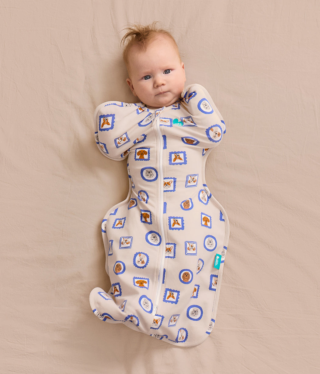 Swaddle Up™ 1.0 TOG Original Cotton Tan Puppy Portrait